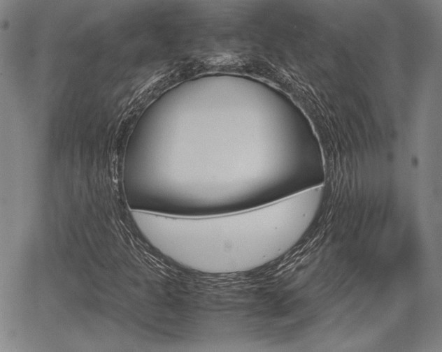 X0000067891301200604131003
