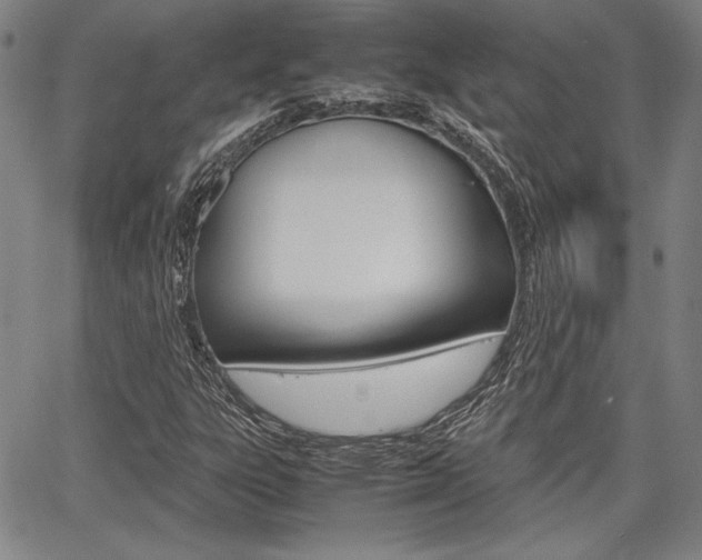 X0000067891303200604131003