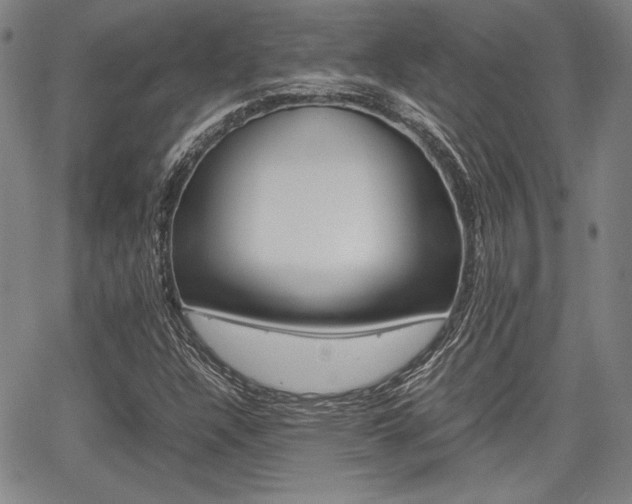 X0000067891304200604131003