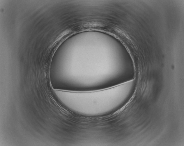 X0000067891305200604131003