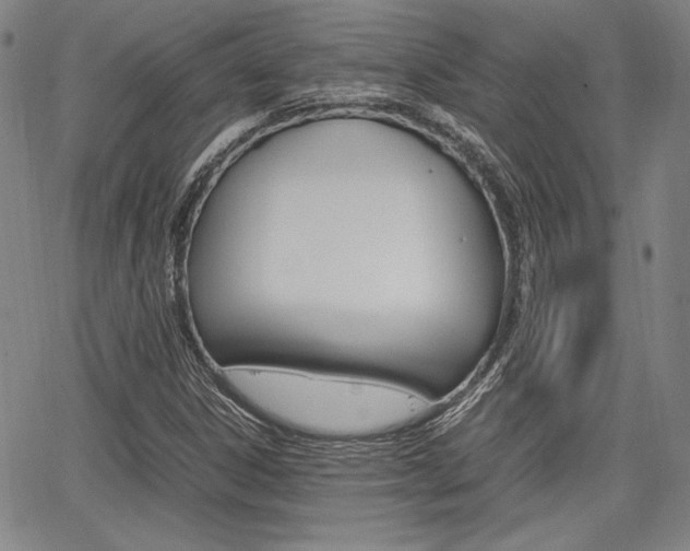 X0000067891306200604131003