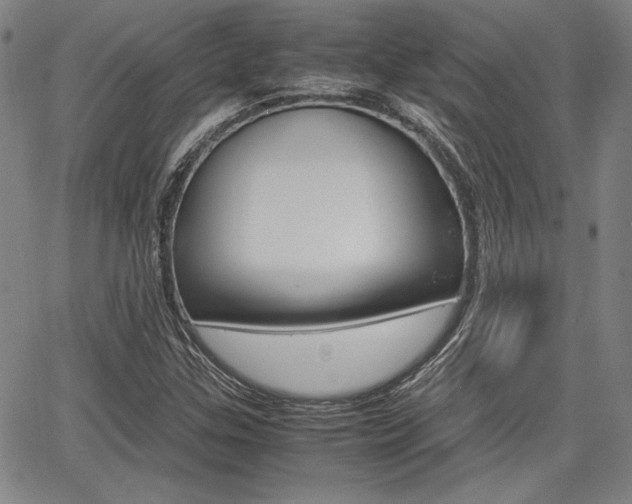 X0000067891307200604131003