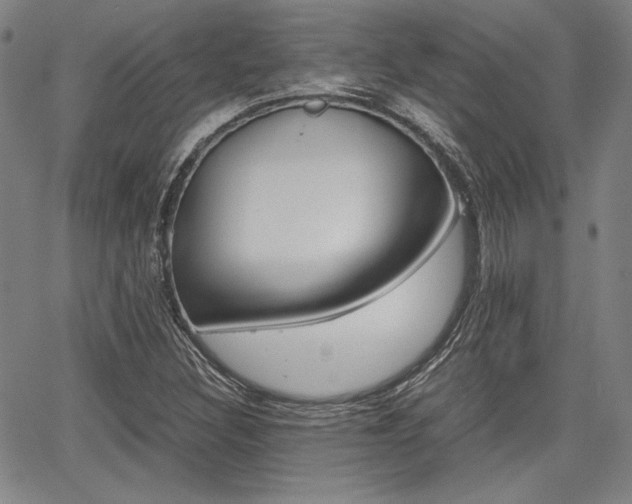 X0000067891308200604131003