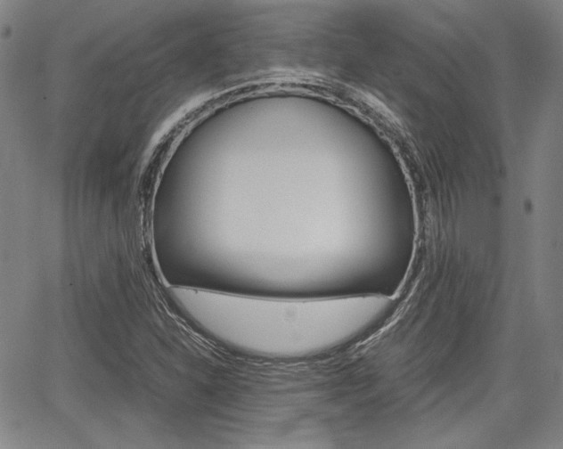 X0000067891310200604131003