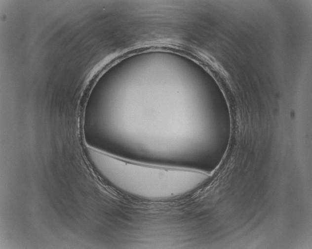 X0000067891316200604131004