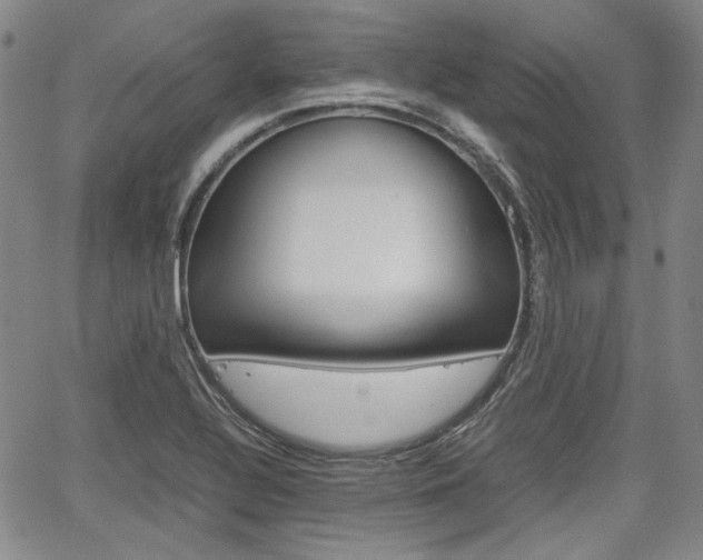 X0000067891320200604131004