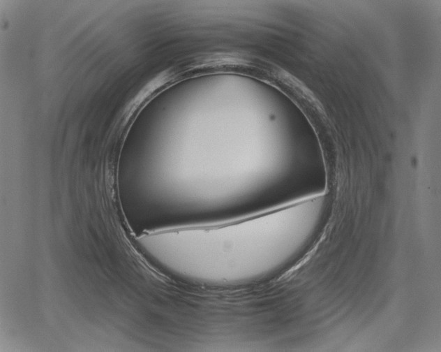 X0000067891321200604131004