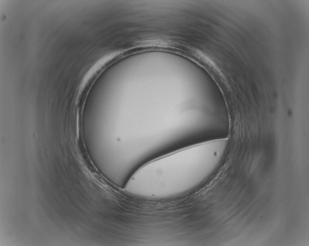 X0000067891323200604131004