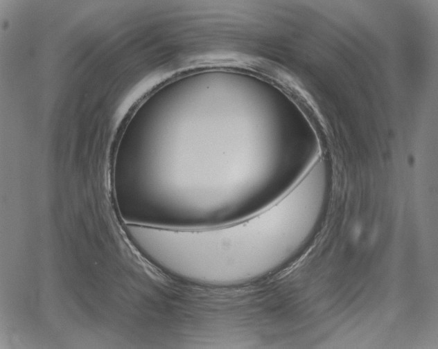 X0000067891328200604131004