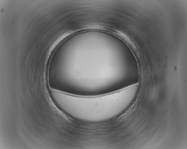 X0000067891331200604131004