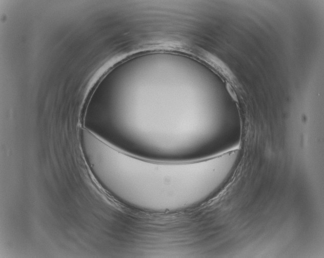 X0000067891332200604131004