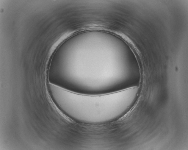 X0000067891333200604131004