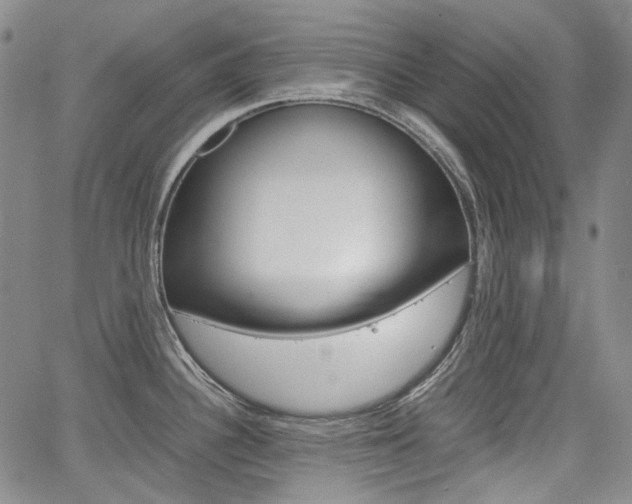 X0000067891340200604131004