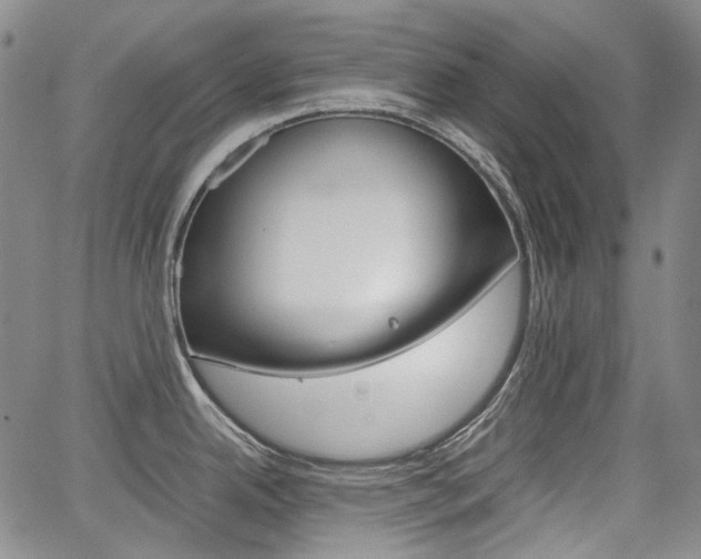 X0000067891342200604131004