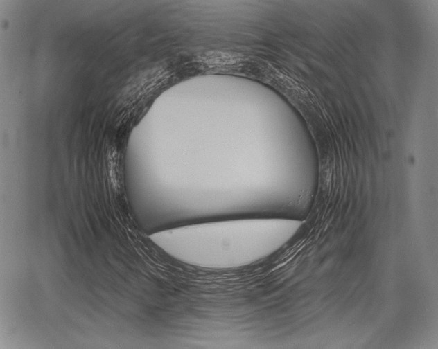 X0000067891346200604131003