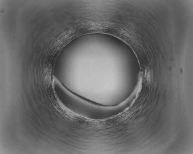 X0000067891348200604131003
