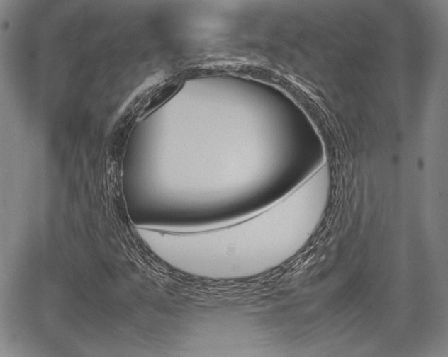 X0000067891351200604131003