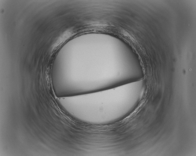 X0000067891354200604131003
