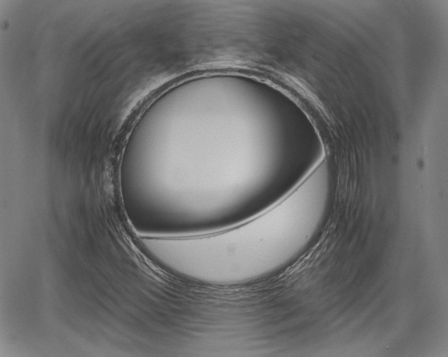 X0000067891356200604131003