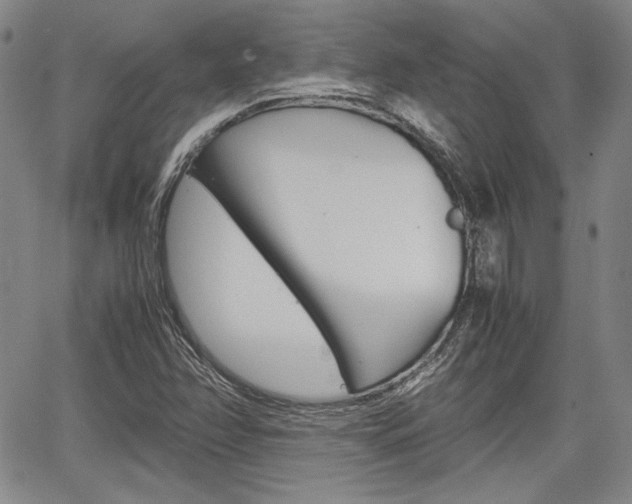 X0000067891358200604131003