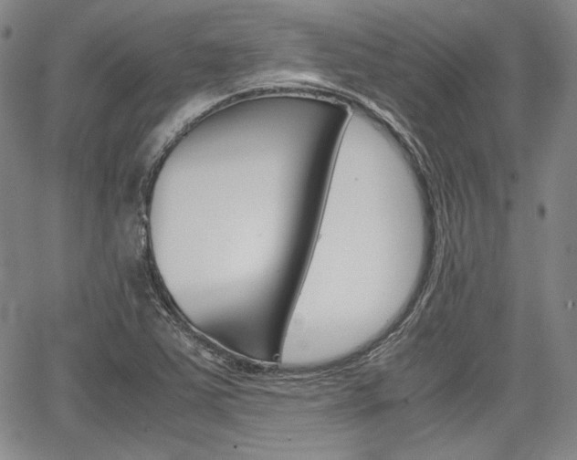 X0000067891363200604131003