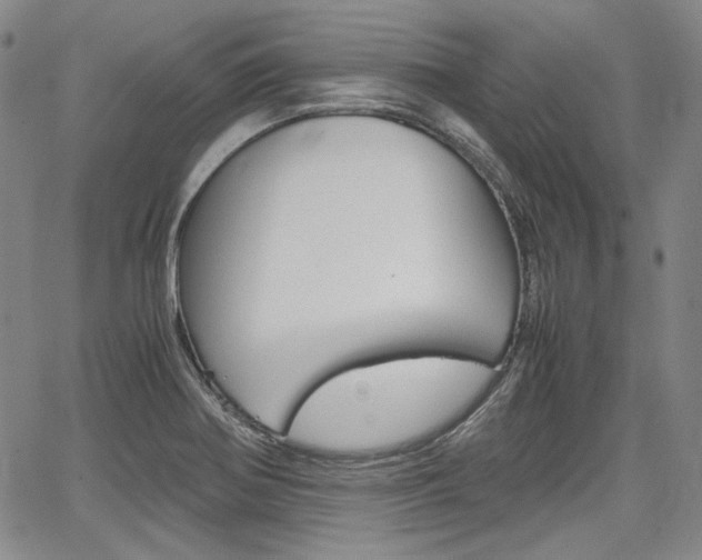 X0000067891370200604131003