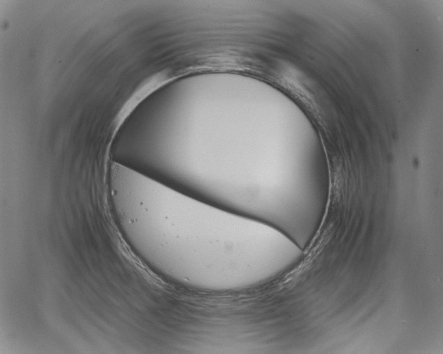 X0000067891378200604131003