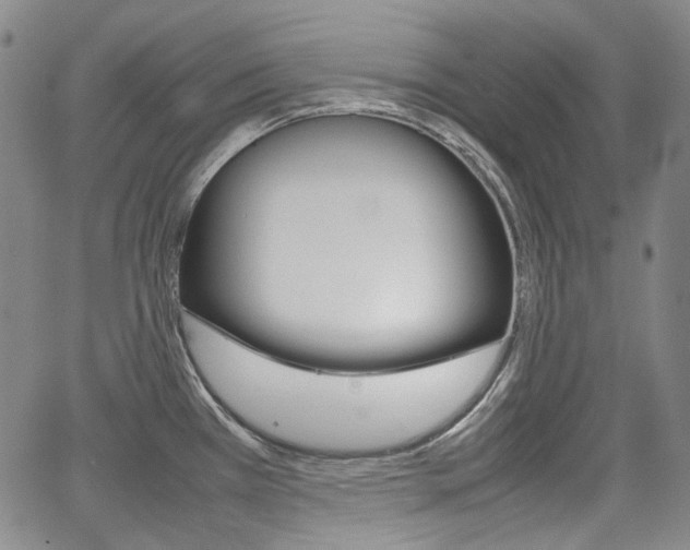 X0000067891385200604131003