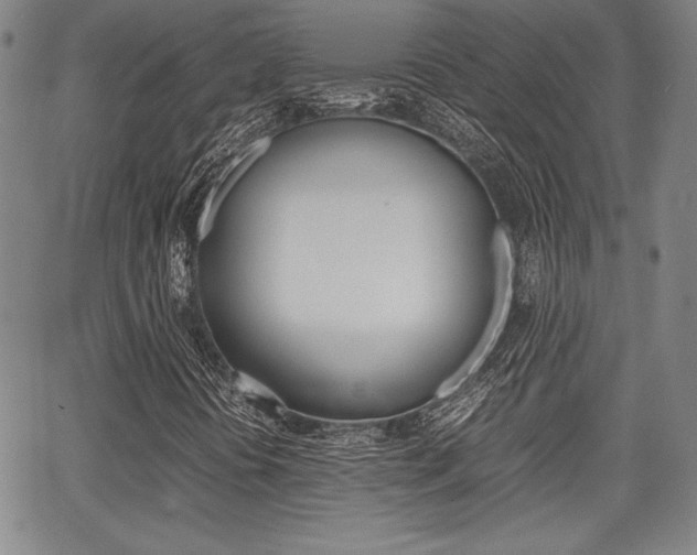 X0000067891394200604131002