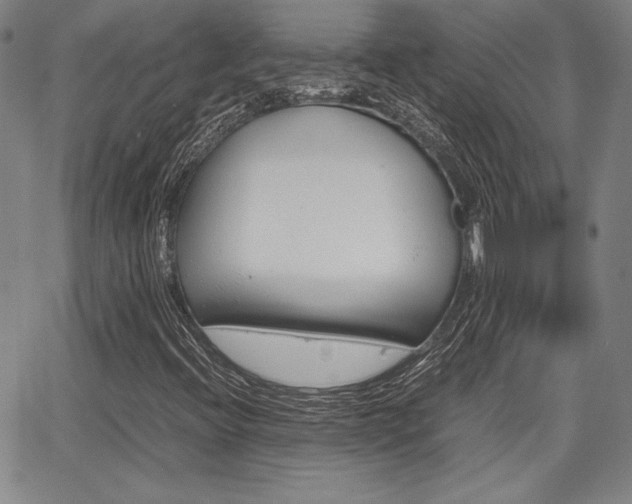 X0000067891396200604131002