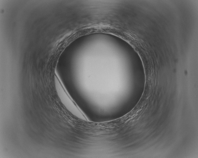 X0000067891398200604131002