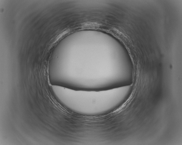X0000067891401200604131002