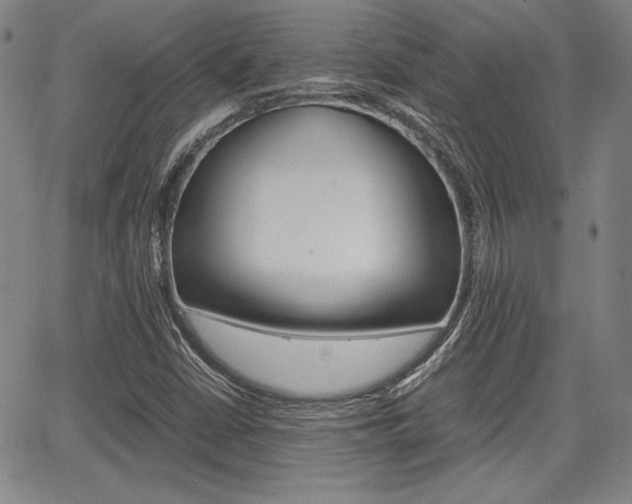 X0000067891402200604131002
