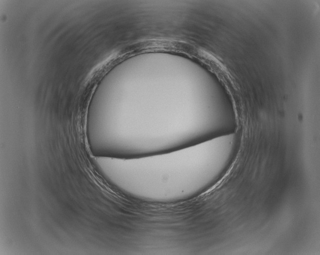 X0000067891403200604131002