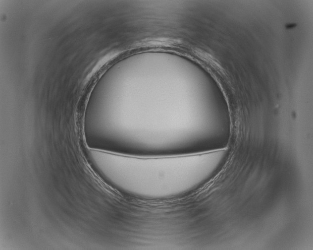 X0000067891404200604131002