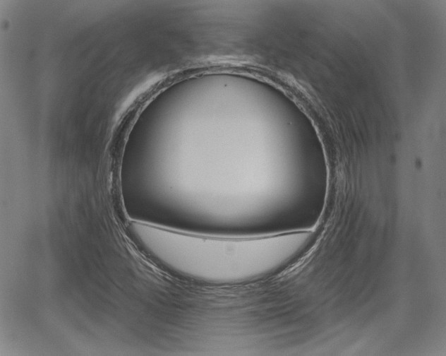 X0000067891406200604131002