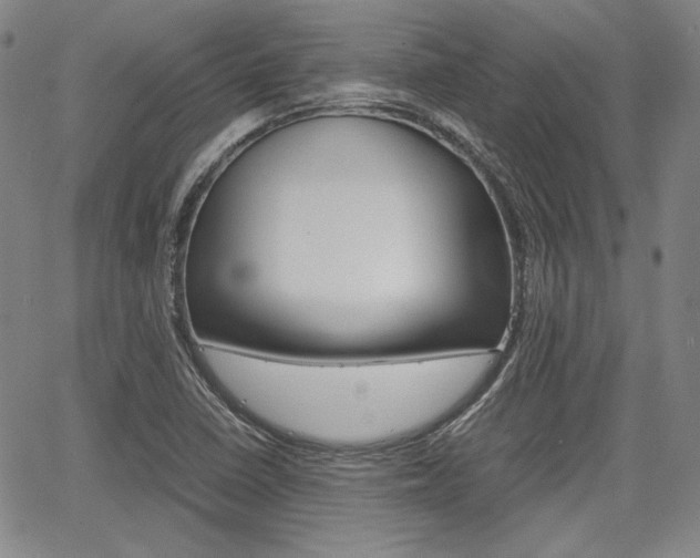 X0000067891410200604131002