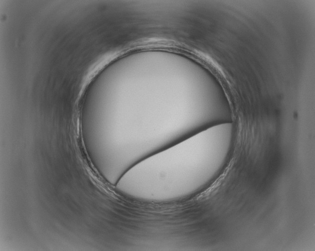 X0000067891413200604131002