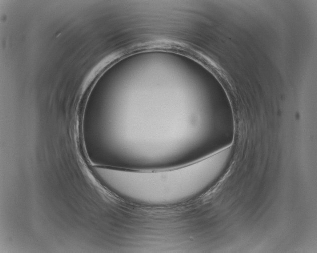 X0000067891418200604131002