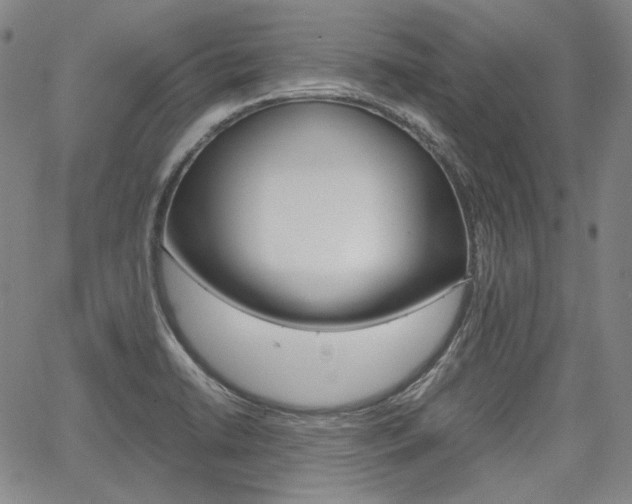X0000067891422200604131002