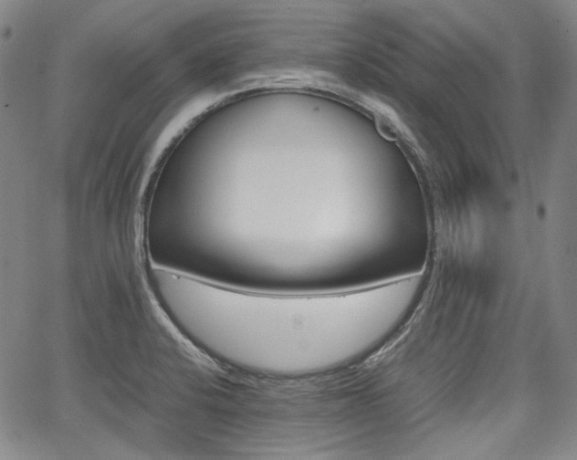 X0000067891424200604131002