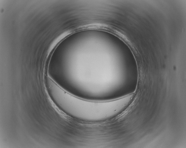X0000067891426200604131002