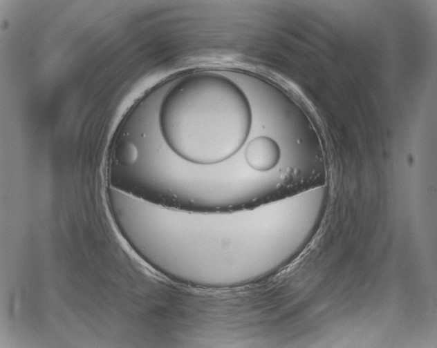 X0000067891432200604131002
