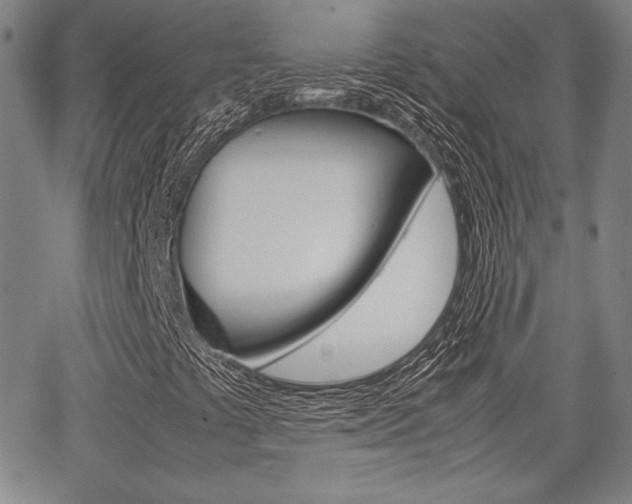 X0000067891441200604131002