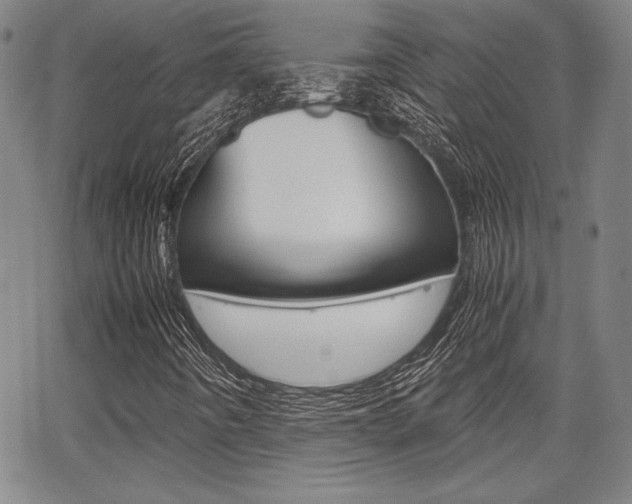 X0000067891442200604131002