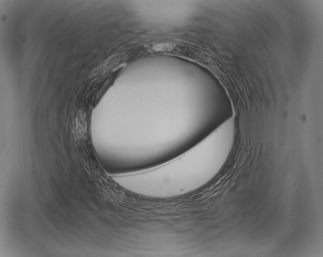 X0000067891443200604131002