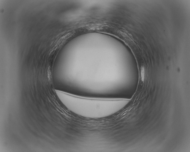 X0000067891444200604131002