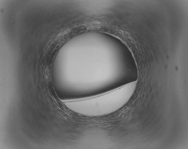 X0000067891445200604131002