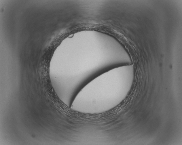 X0000067891447200604131002