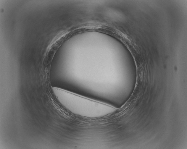 X0000067891448200604131002